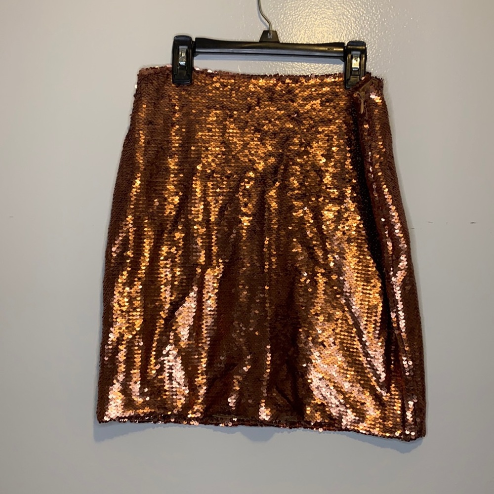 Sequin Skirt